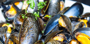 Muscheln