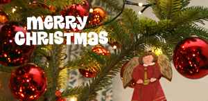 Weihnachten Mittag Menues